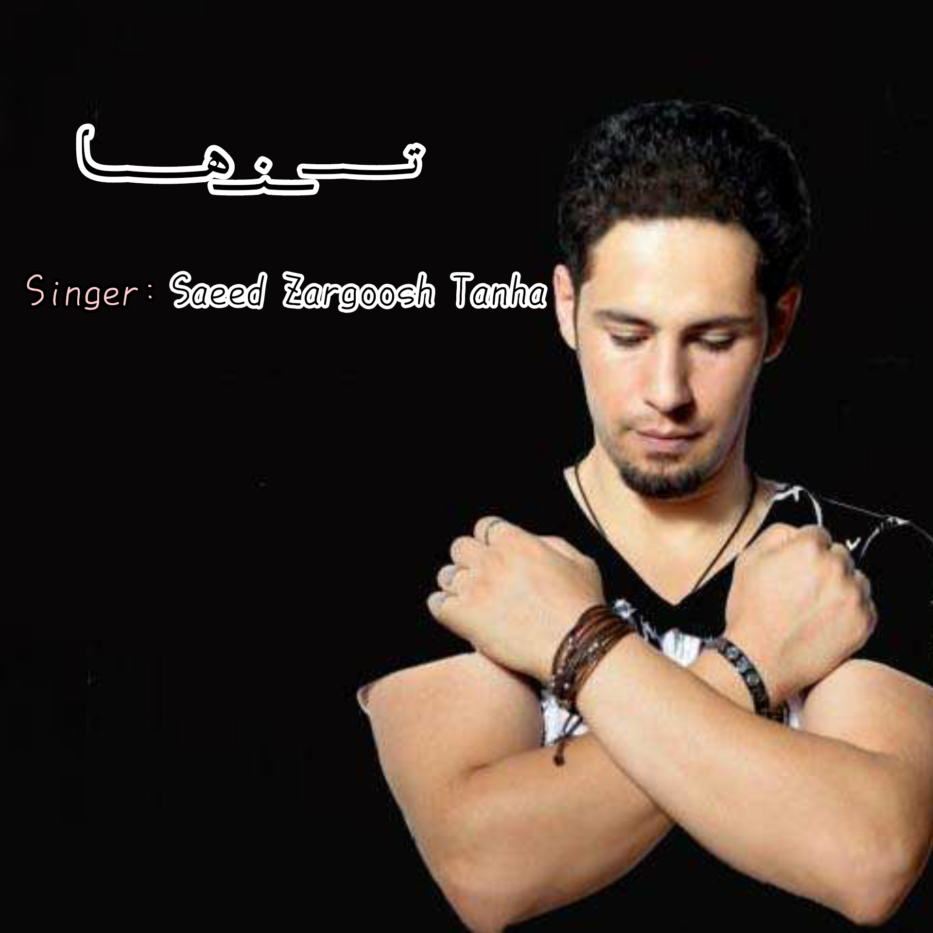 سعید زرگوش تنها تنها